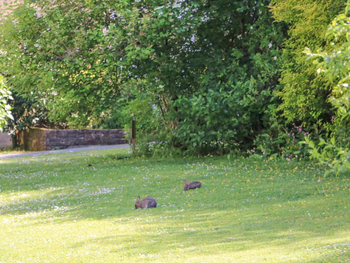 Owls Roost Villa Falmouth Kültér fotó